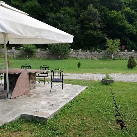Pensiunea La Busu -Bigar Bozovici Exteriér fotografie