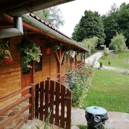 Pensiunea La Busu -Bigar Bozovici Exteriér fotografie