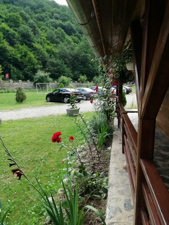 Pensiunea La Busu -Bigar Bozovici Exteriér fotografie