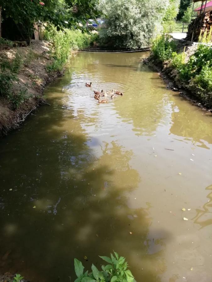 Pensiunea La Busu -Bigar Bozovici Exteriér fotografie