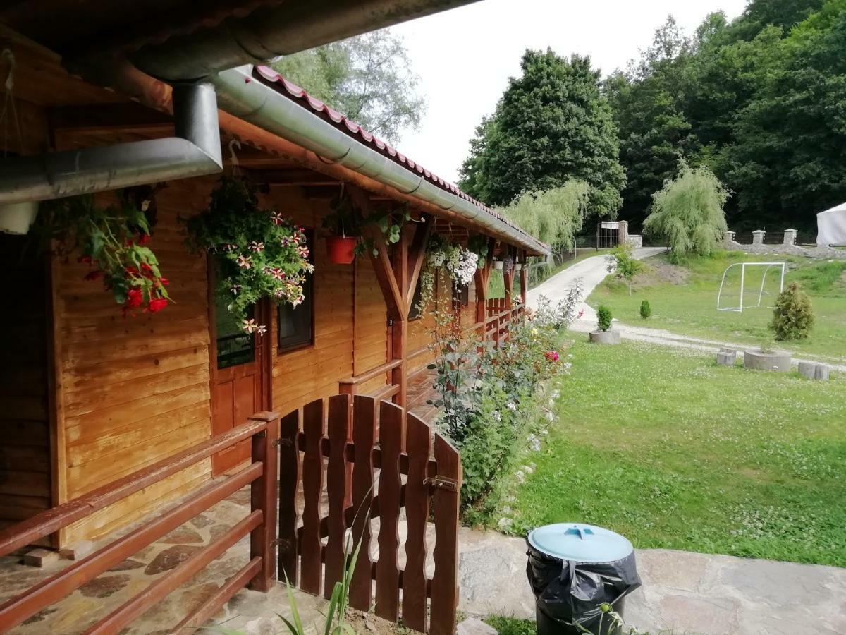 Pensiunea La Busu -Bigar Bozovici Exteriér fotografie