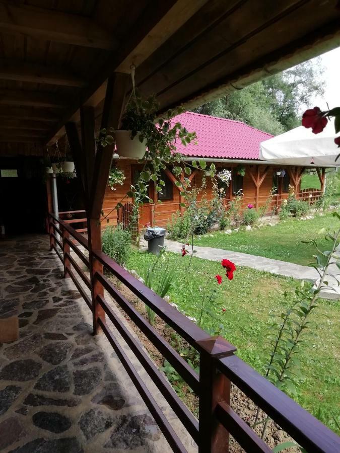 Pensiunea La Busu -Bigar Bozovici Exteriér fotografie