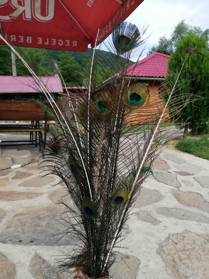 Pensiunea La Busu -Bigar Bozovici Exteriér fotografie